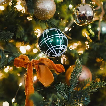 에두아르 Vii 호텔 비아히쯔